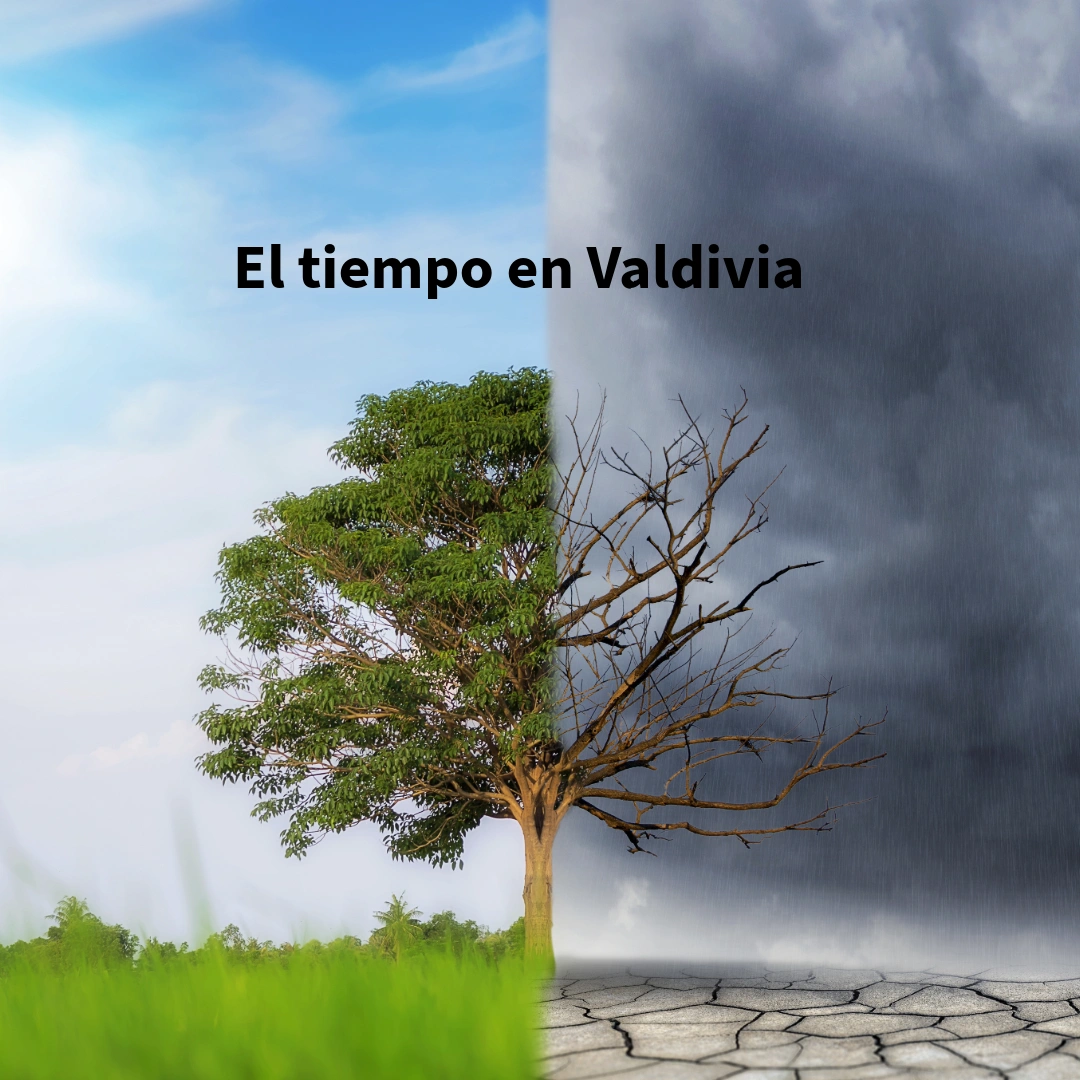 El tiempo en Valdivia