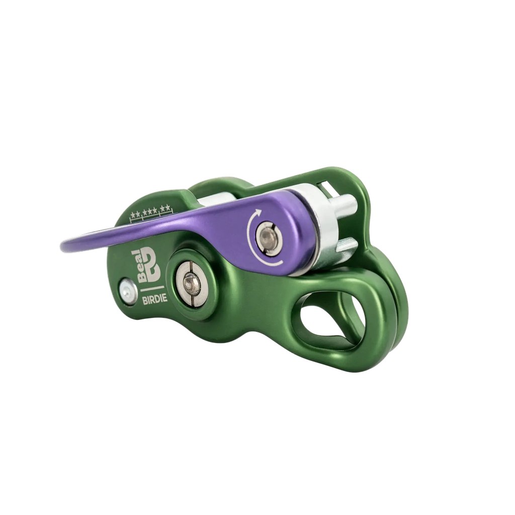 Asegurador asistido Birdie -