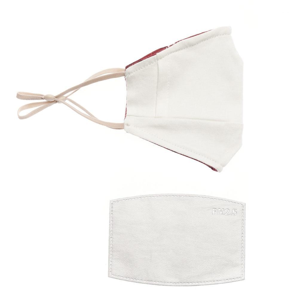 Miniatura Mascarilla Caparazon I21 -