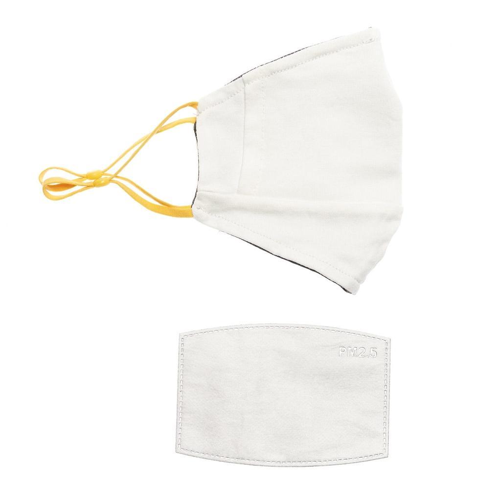 Miniatura Mascarilla Caparazon I21 -