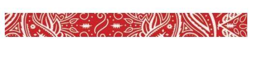 Banda Lentes Print Suiter, Bandana Red - Color: Rojo