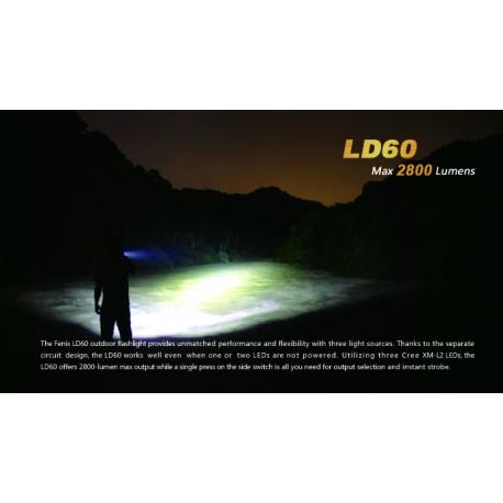 LD60