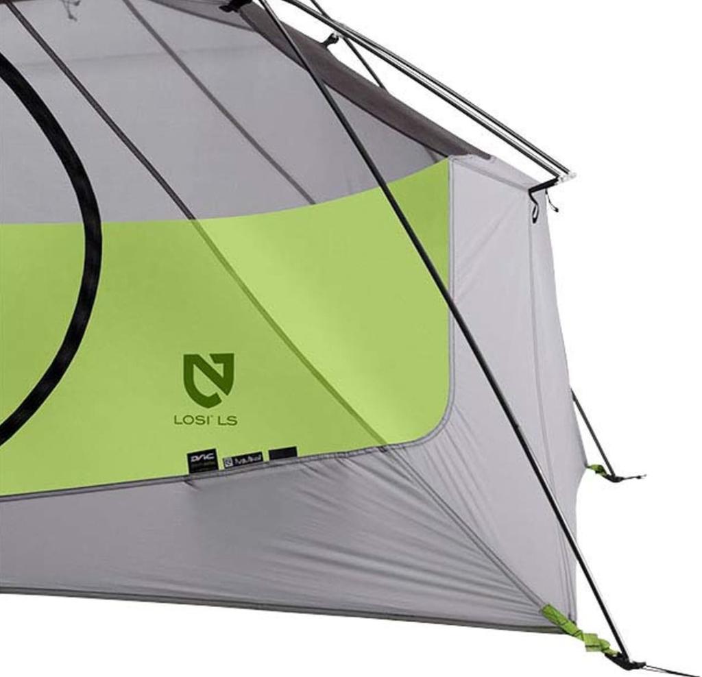 Miniatura Carpa Losi 2p 2018