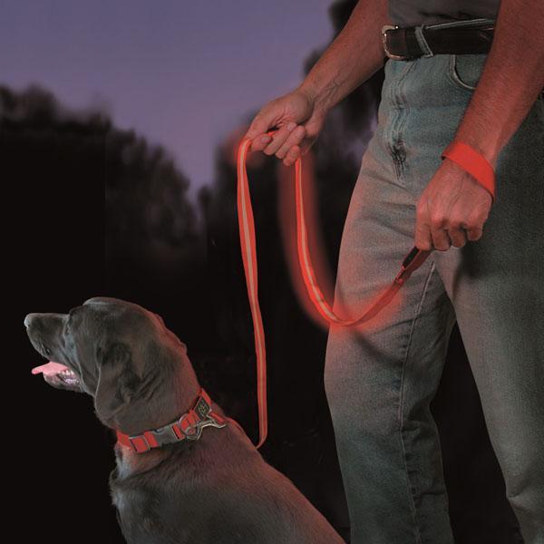 Correa de Mascota LED NiteDawg