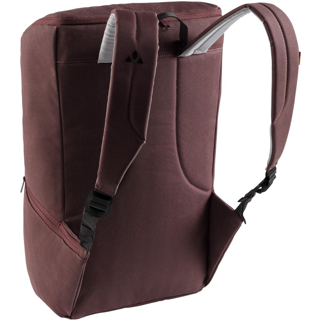 Mochila Aspe 17L Raisin