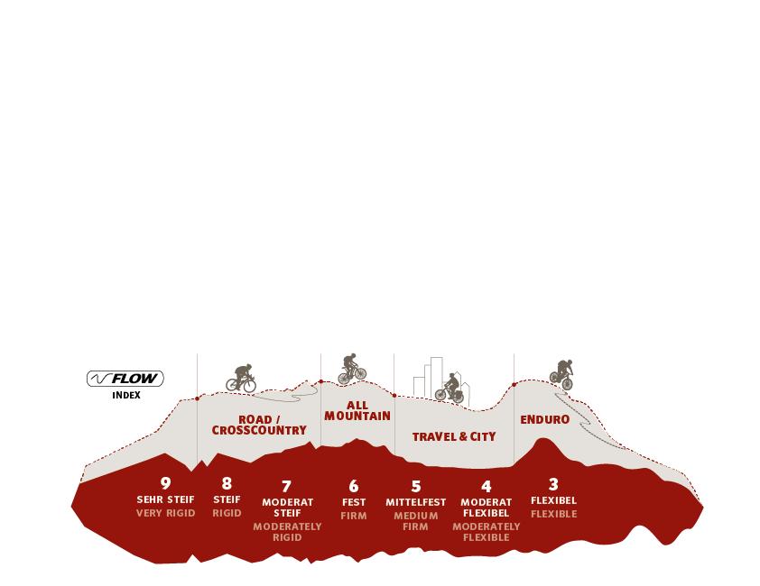 Miniatura Zapatilla Ciclismo con Fijacion AM Downieville Low