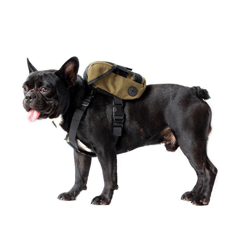 Mochila Eureka K9 Raza Pequeña