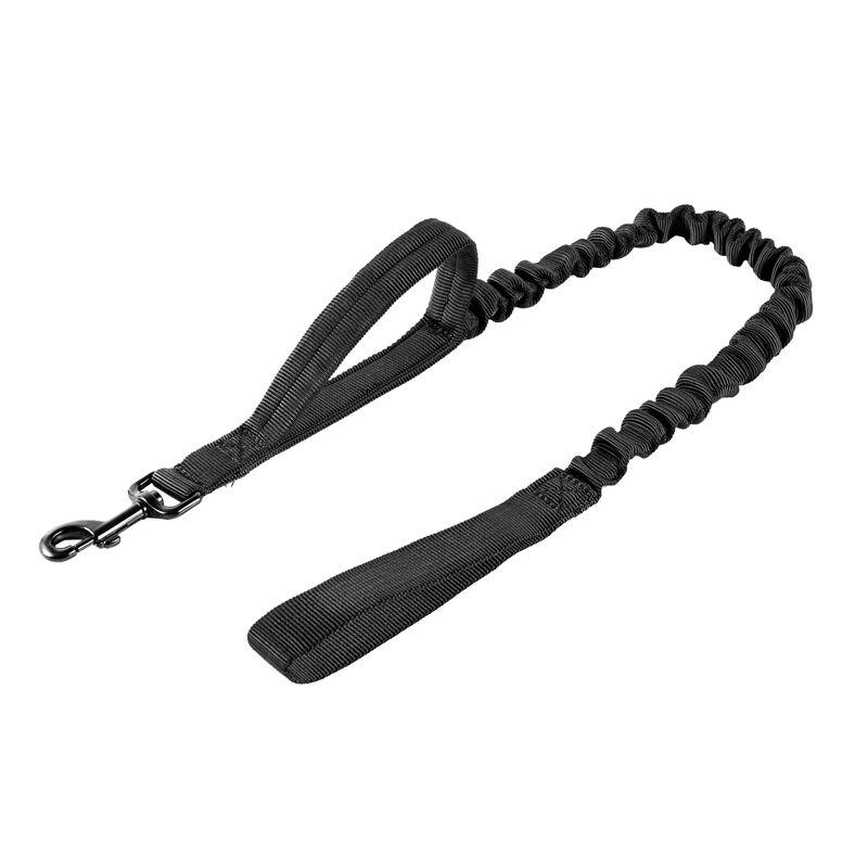 Correa Leash 110