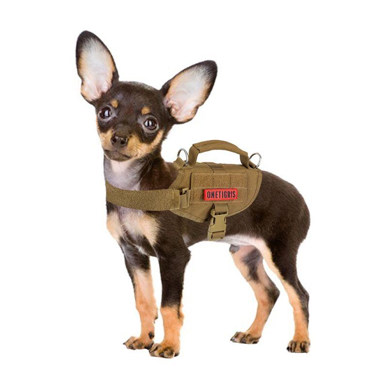 Arnes Beast Mojo K9 Coyote XS