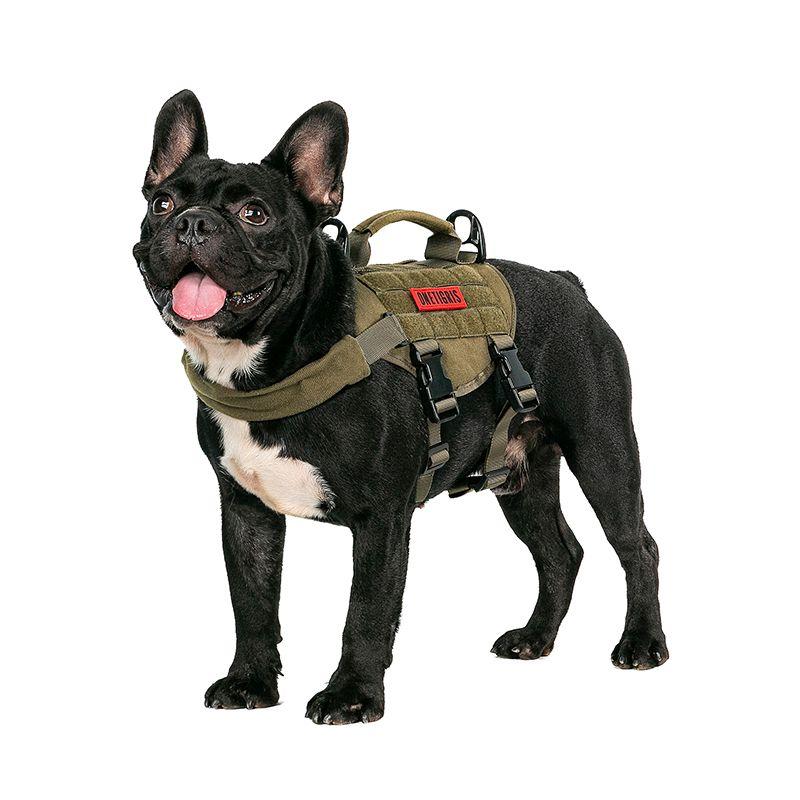 Arnes Beast Mojo K9 Ranger XS