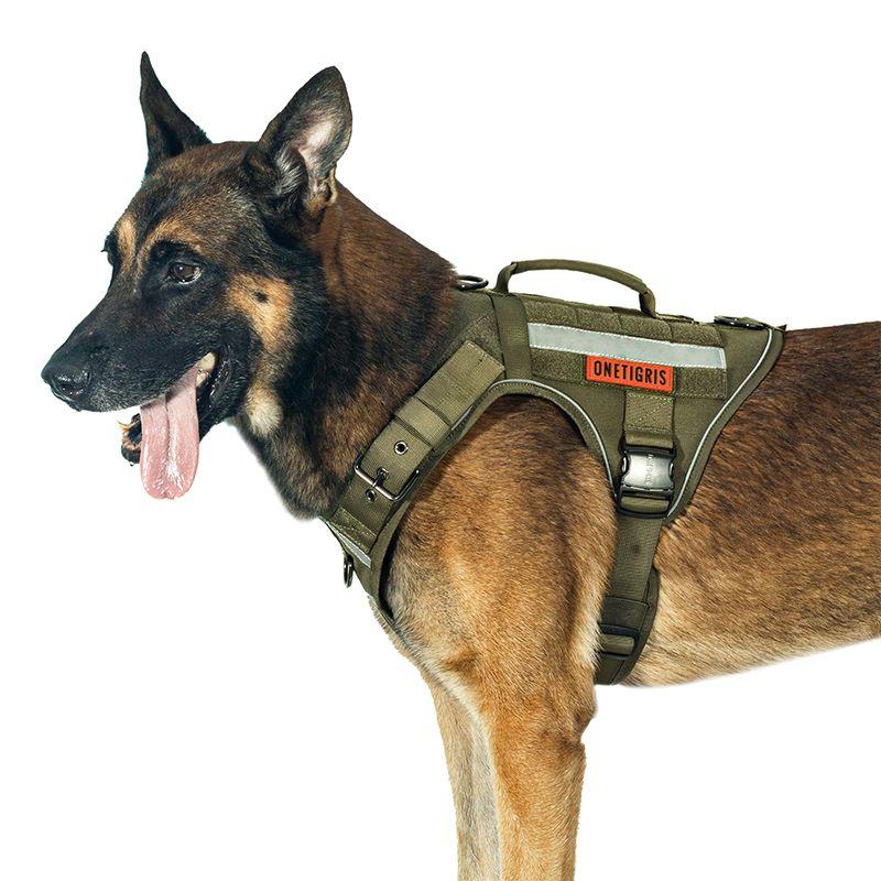 Arnes Fire Tanker K9 Ranger M