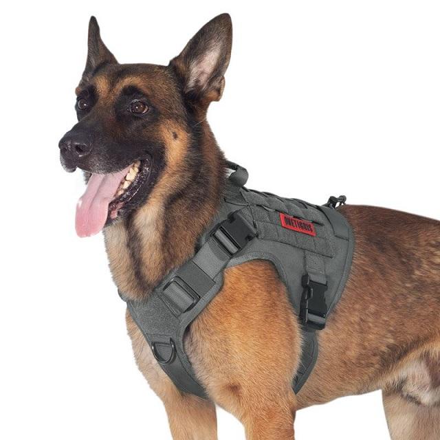 Arnes Fire Watcher K9 S