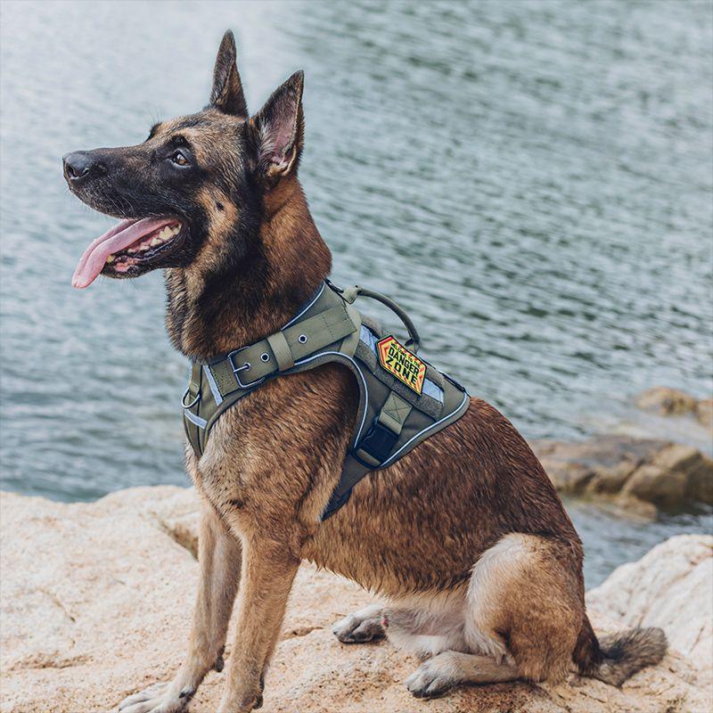 Arnes Fire Watcher K9 S