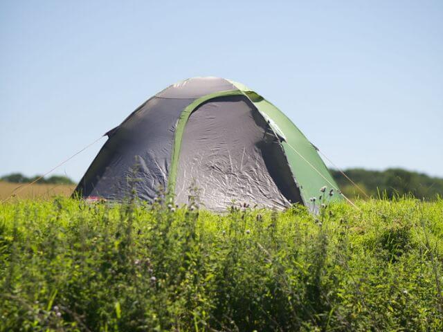 Miniatura Carpa Darwin 2 - Color: Verde/Gris