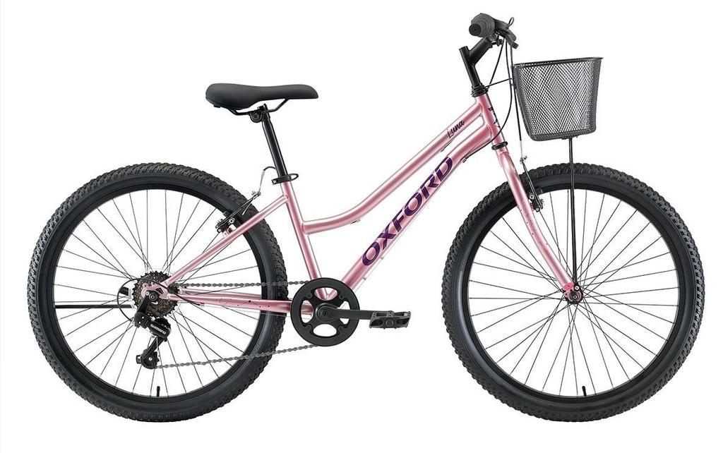 Bicicleta Infantil Luna Aro 24