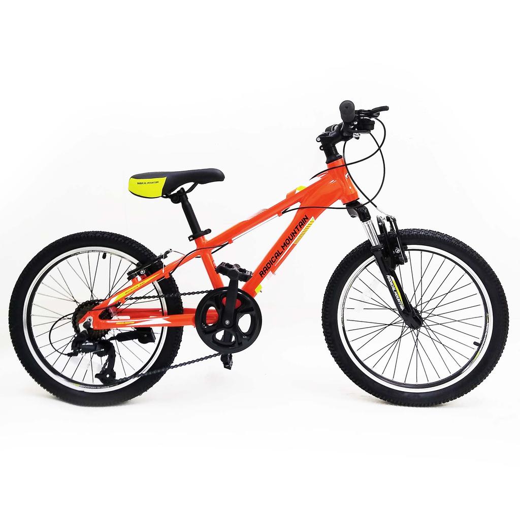 Bicicleta Aro 20 Mtb V-Brake
