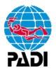 Padi