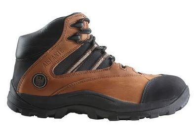 Botin Ed 102  -