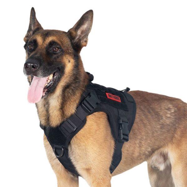 Arnes de Perro Fire Watcher 2.0 - Color: Negro