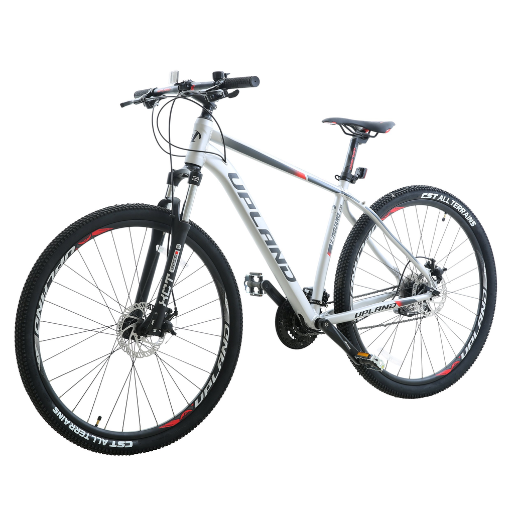 Bicicleta Vanguard 200-29ER Hombre - Color: Gris