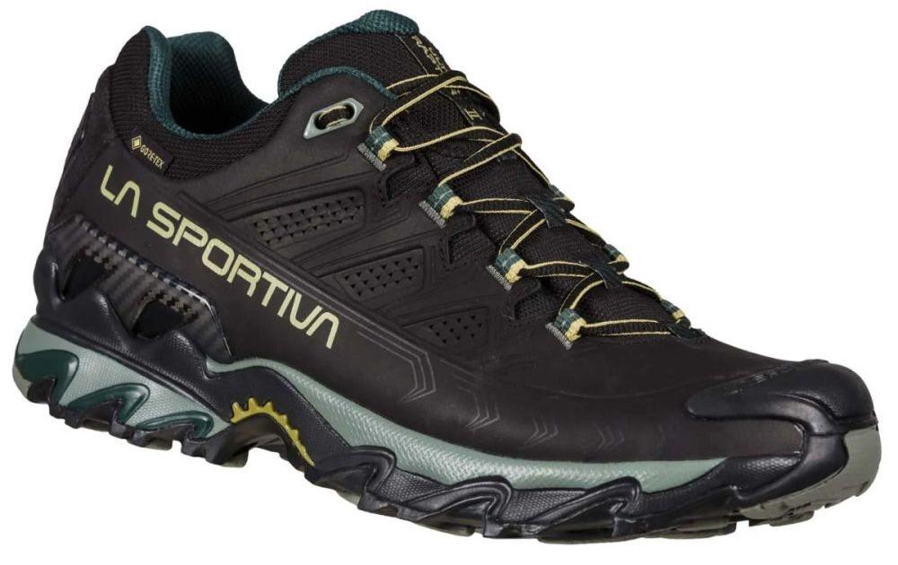 Zapatilla Ultra Raptor II Leather GTX