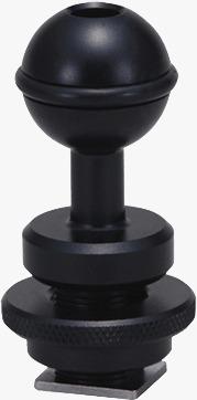 Strobe Head Shoe Ball Base