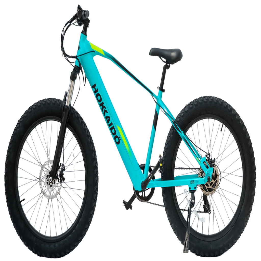 E-Bike Rueda Ancha Michigan -