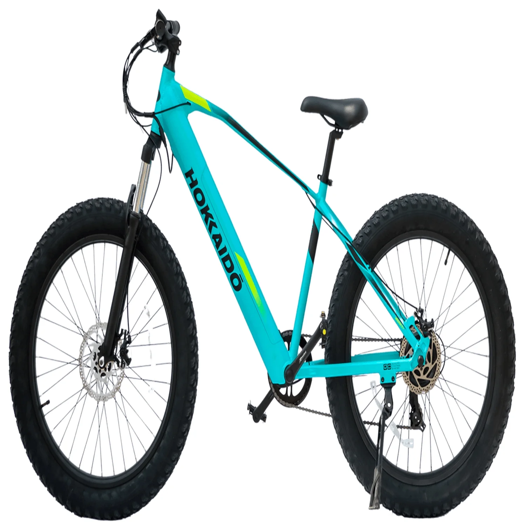 E-Bike Rueda Ancha Michigan