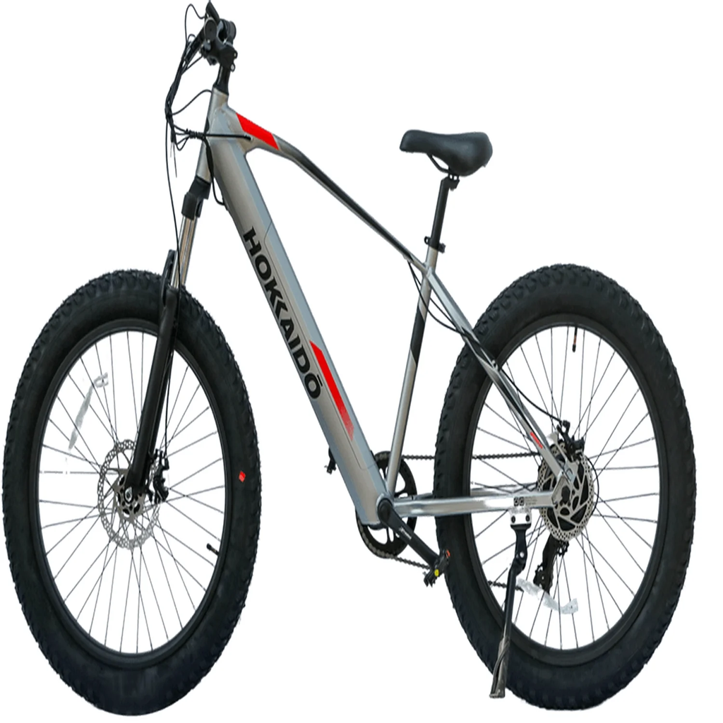 E-Bike Rueda Ancha Michigan -