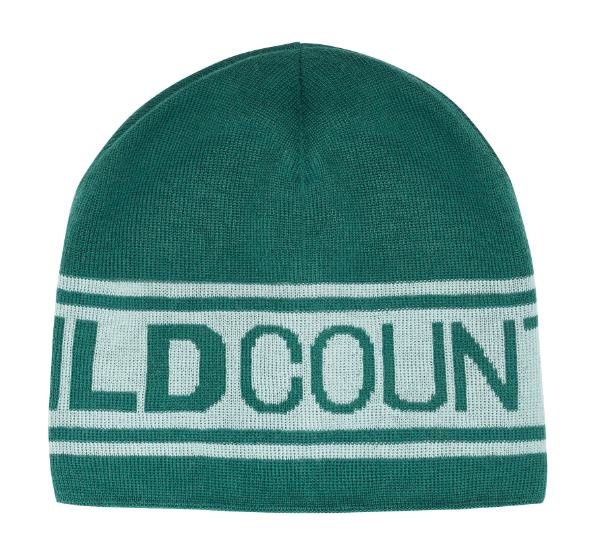 Gorro Stamina Beanie -