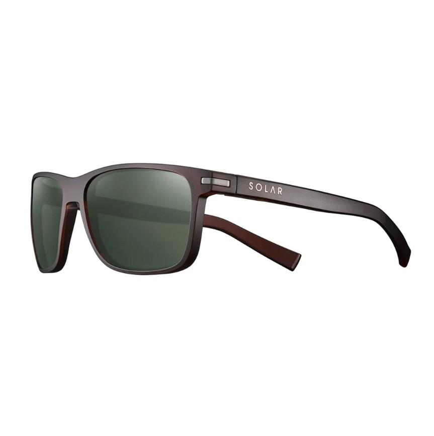 Young Cat 3 Polarized