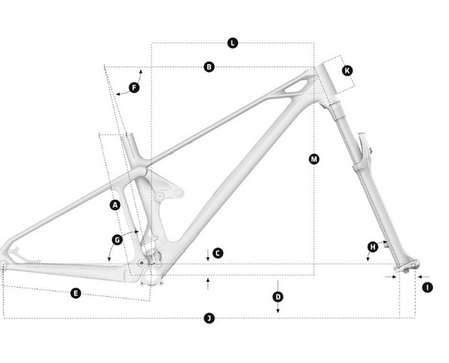 Bicicleta Foxy Carbon R 2024 -