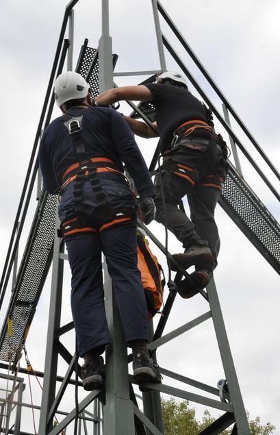 Arnés Integral Industrial Skill Econ Con Acolchado - Color: Negro