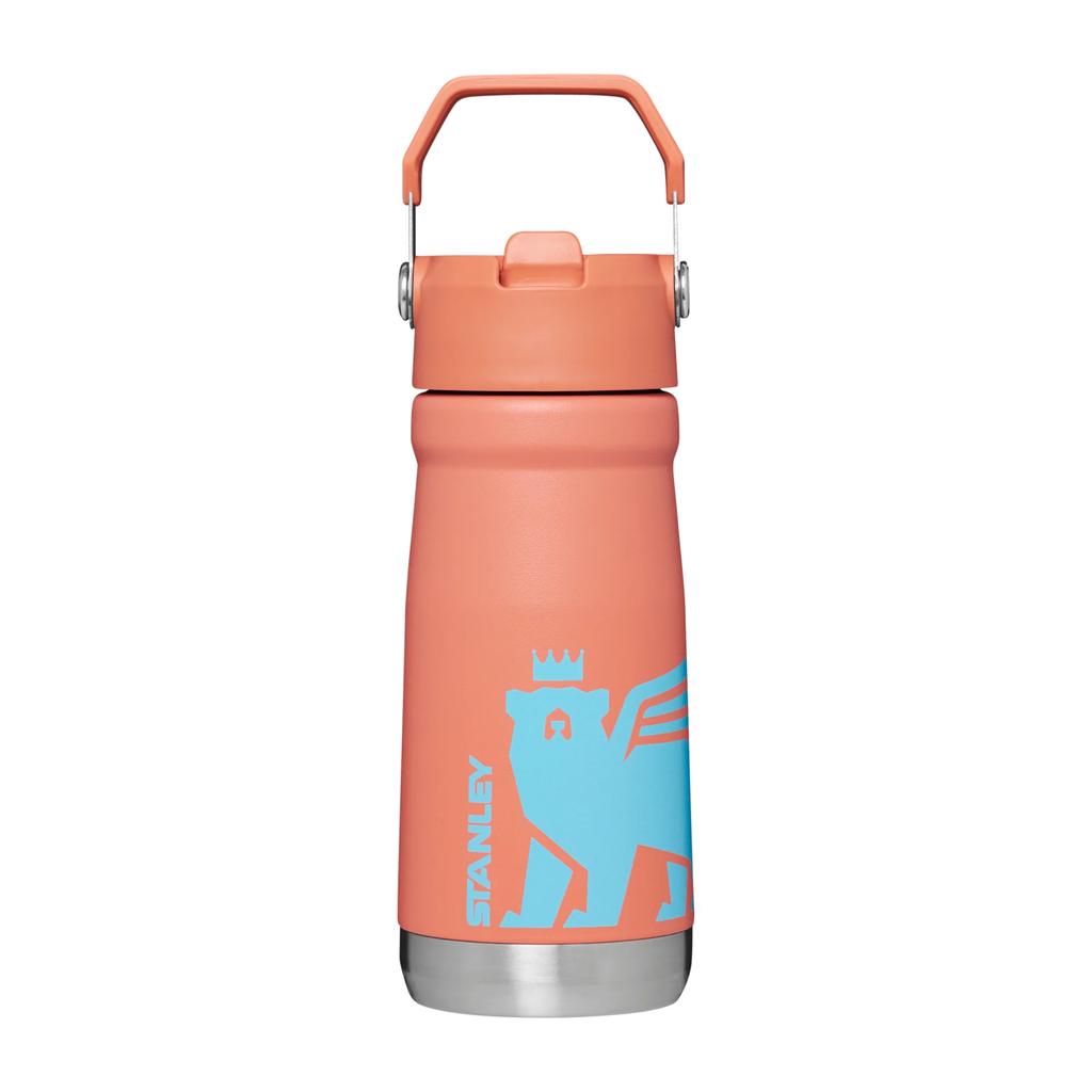 Botella Térmica Flip Straw | 502 ml