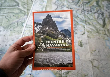 Dientes de Navarino -