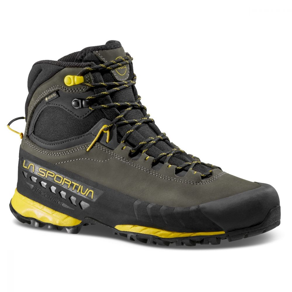 Zapato TX5 GTX