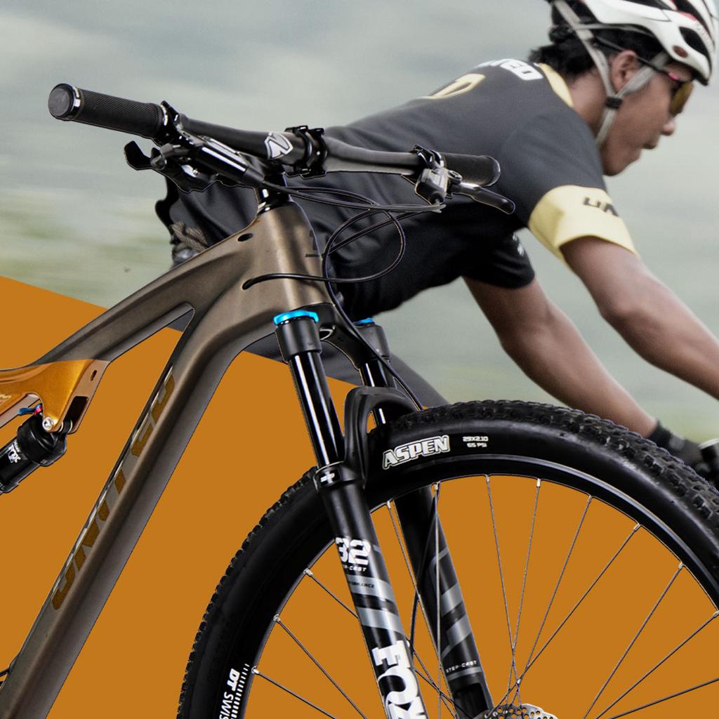 Miniatura Bicicleta Epsilon C100 ARO 29 -
