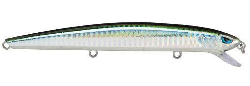 Seabass thunder minnow 