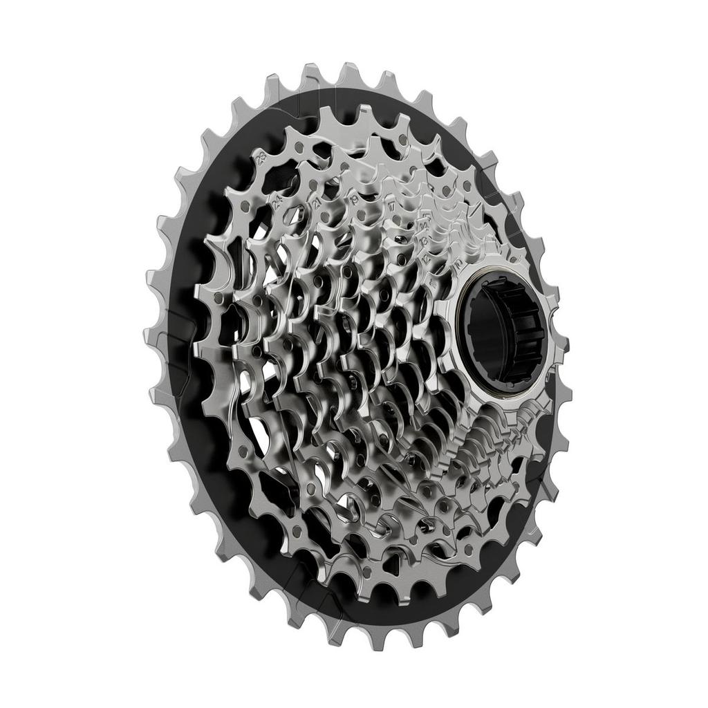 Piñón XDR Flattop E1 XG1270 12V 10-33T