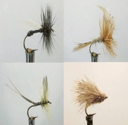 Kit Moscas Dragon Dry Flies Zath011 Wdx -