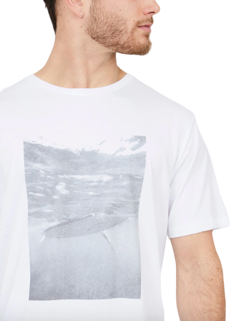 Polera Surf De Hombre -