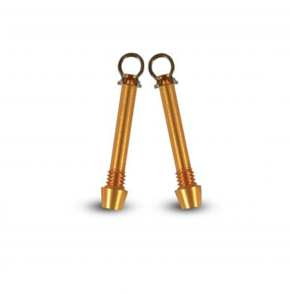 Perno Pastilla Caliper Avid Elixir 2 pcs -