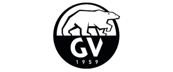 GV Snow Shoes