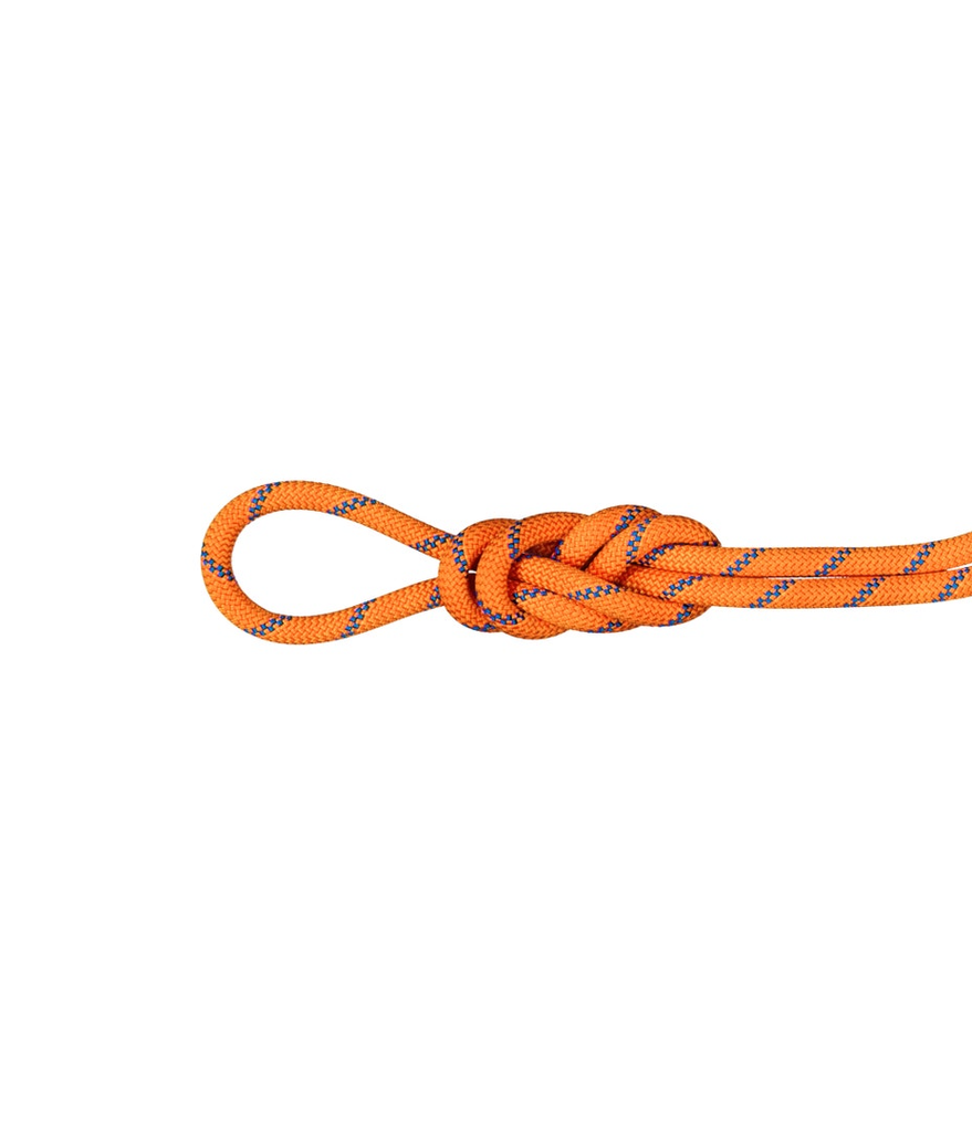 Cuerda 9.0 Alpine Sender Dry 60Mts -