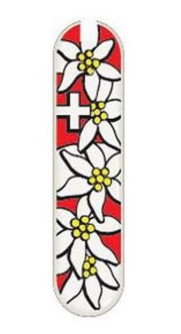 Carcasa Trasera Edelweiss 58 mm Para Classic  -