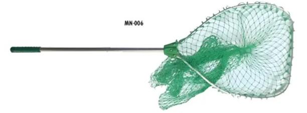 Chinguillo Chous Mn-006