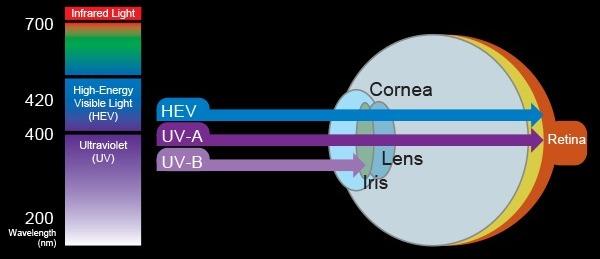 Miniatura Máscara de Buceo 2 Lentes  -