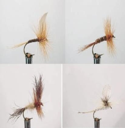 Kit Moscas Dragon Dry Flies Zath0111 Wdx -