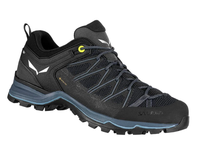 Zapatilla Se Aproximación Hombre  Mtn Trainer Lite Gtx -
