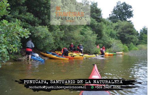 Travesia en Kayak Punucapa